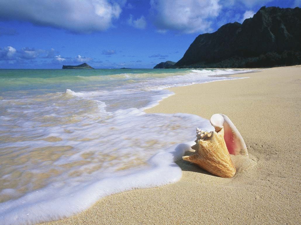 Les meilleurs endroits pour se détendre au bord de la mer en hiver en 2025