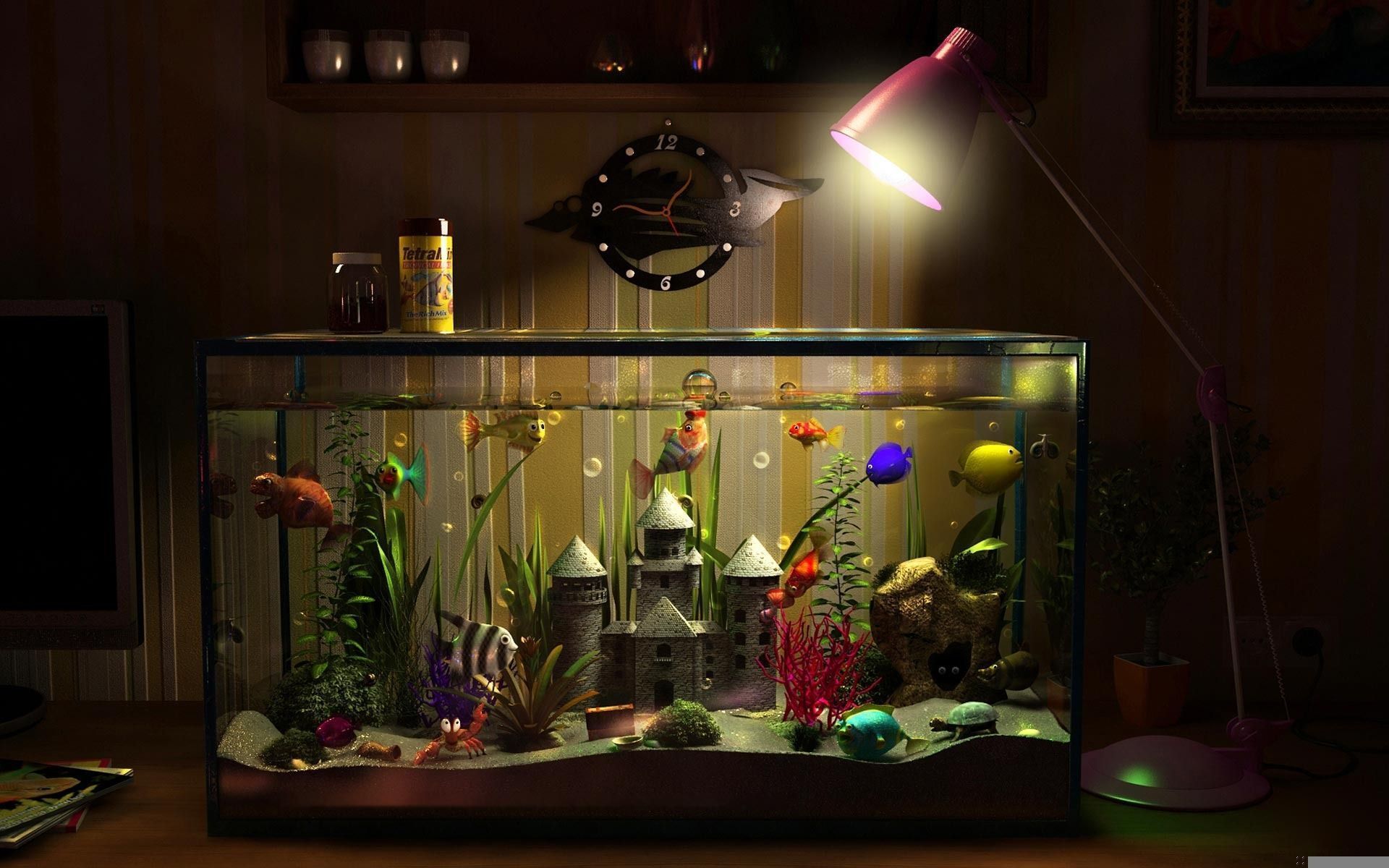 The Best Aquarium Fish for a Beginner in 2025