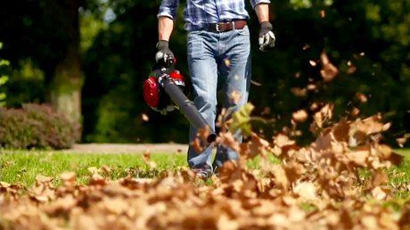 aspirateur de jardin