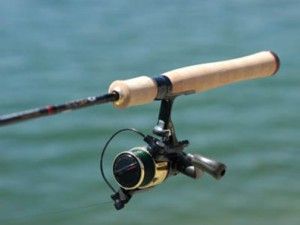 Spinning ultralight rod selection