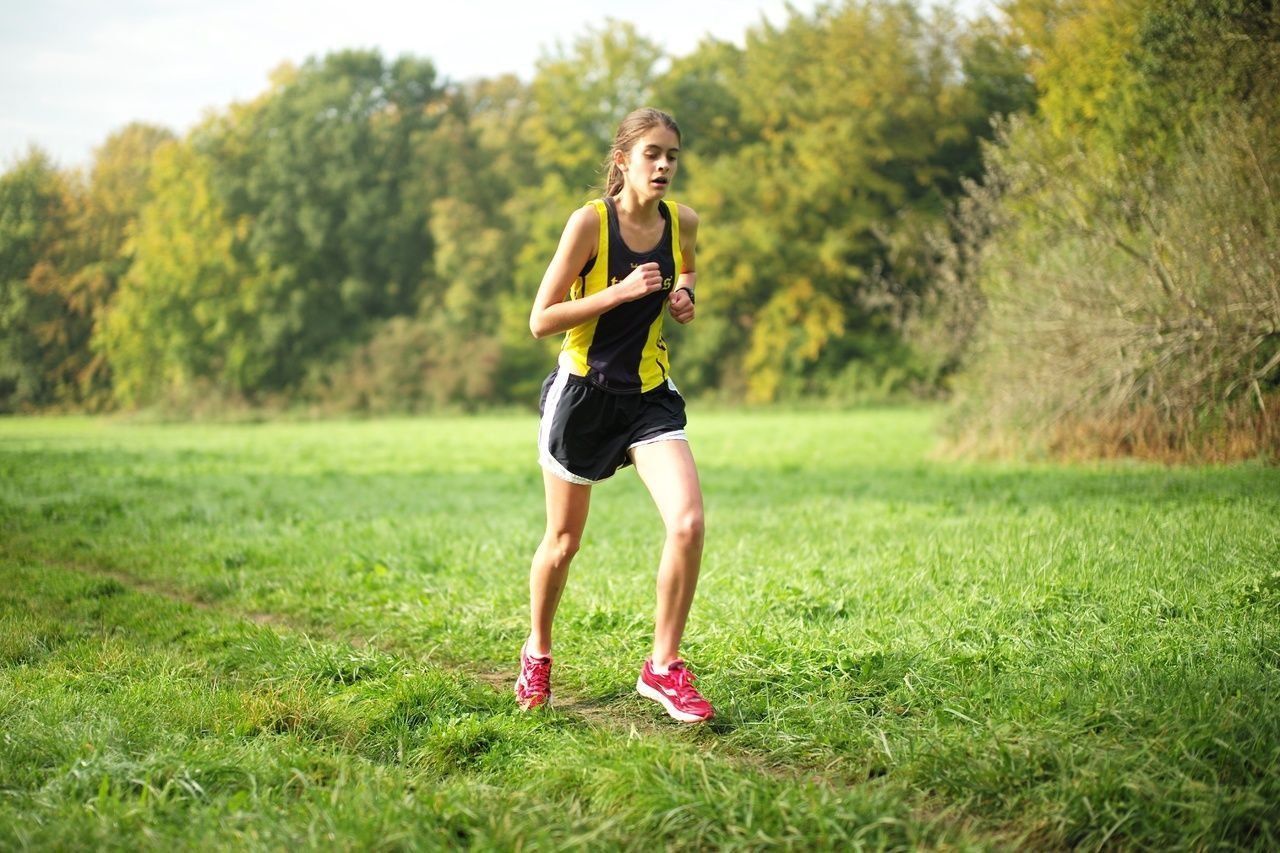 Les meilleurs stades et parcs de course libre à Saint-Pétersbourg 2025