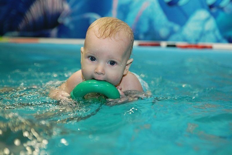 Rating of the best children's pools in Novosibirsk in 2025