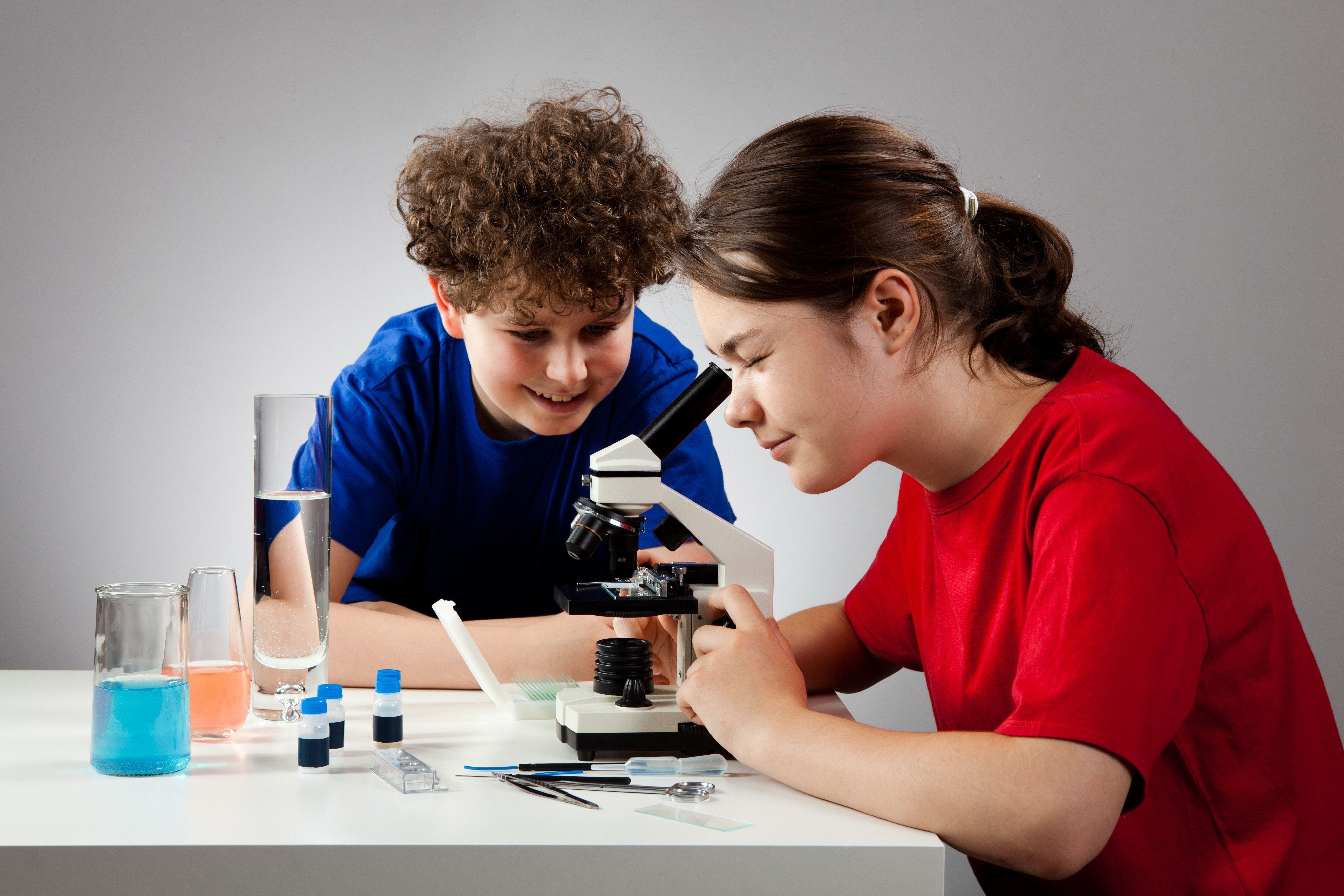 The best microscopes for schoolchildren and students in 2025