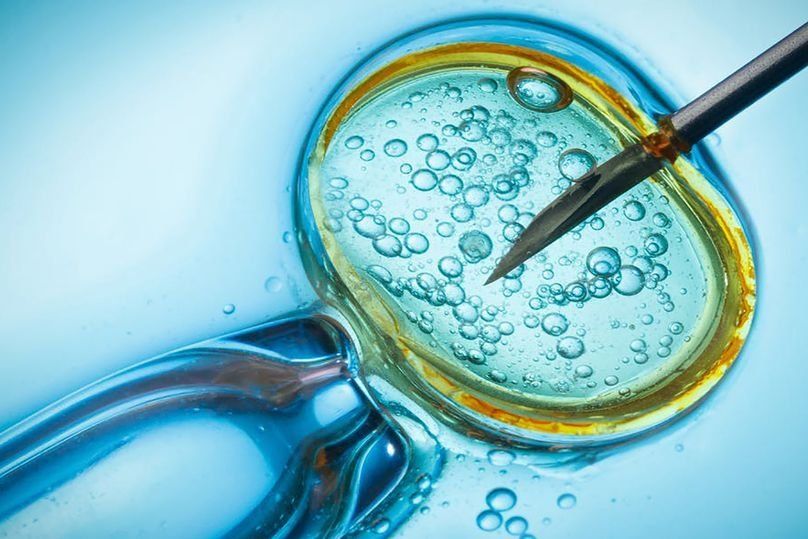 Najbolje IVF klinike u Permu 2025