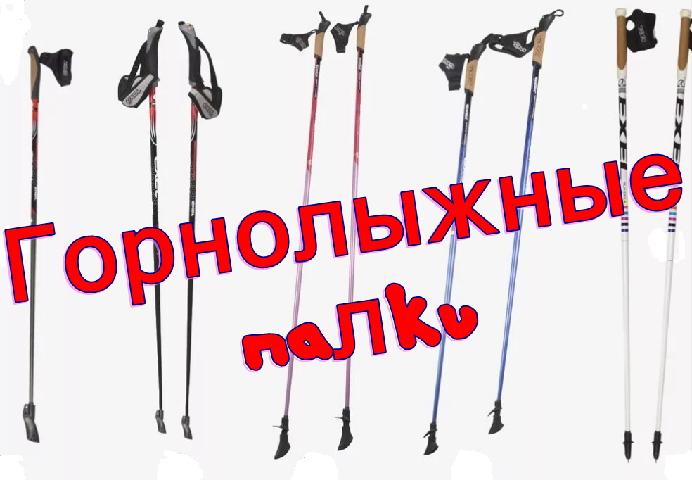 The best ski poles in 2025 and how to choose them