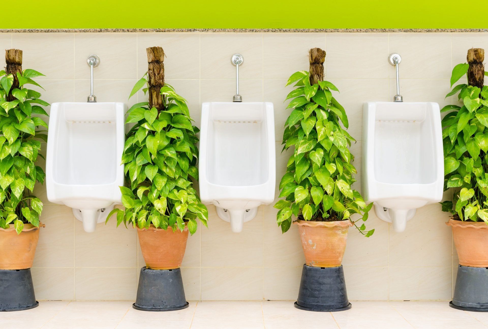 Ranking the best urinals 2025: how to choose