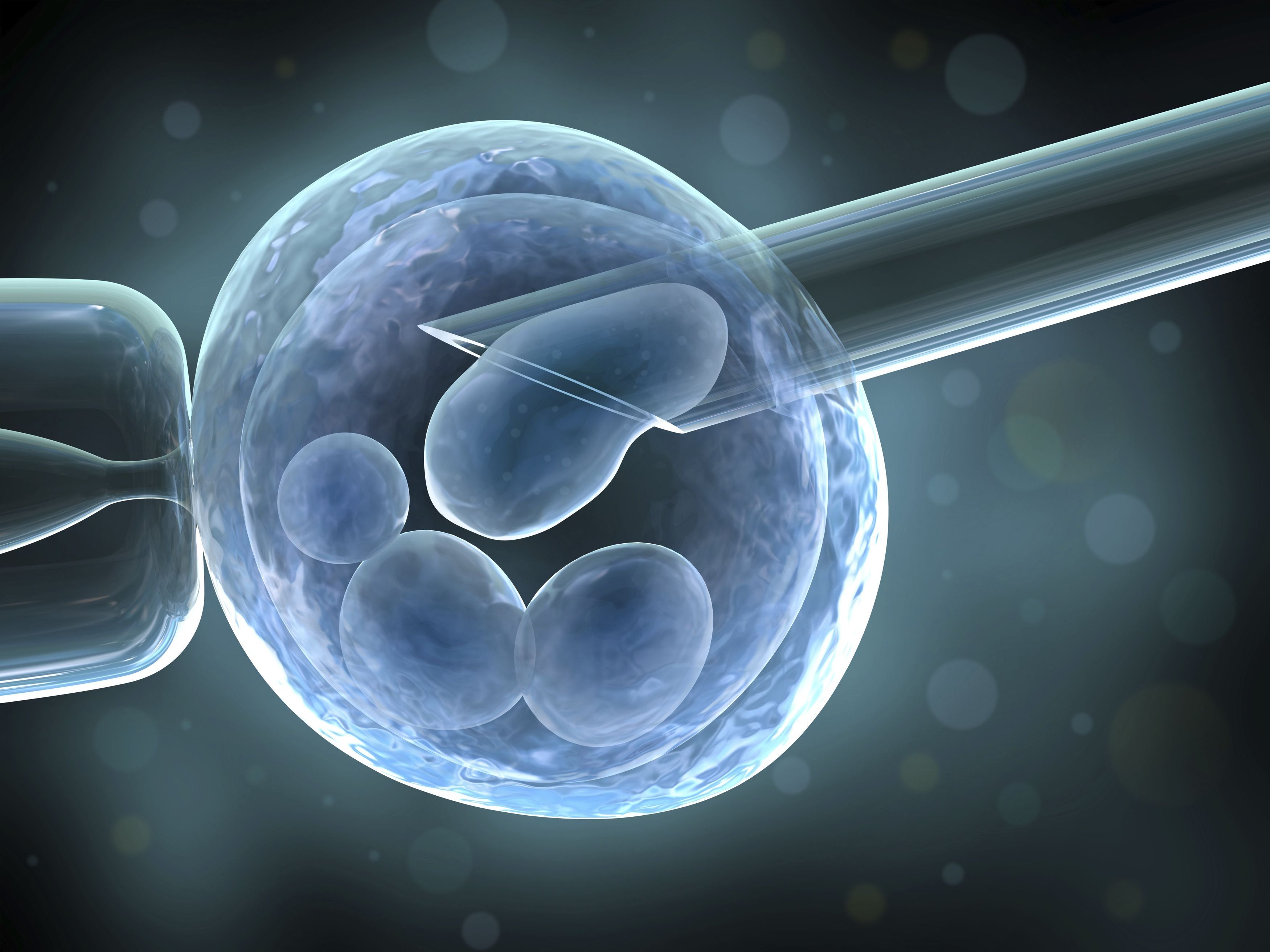 Rating of the best IVF clinics in Novosibirsk in 2025 with positive reviews and results