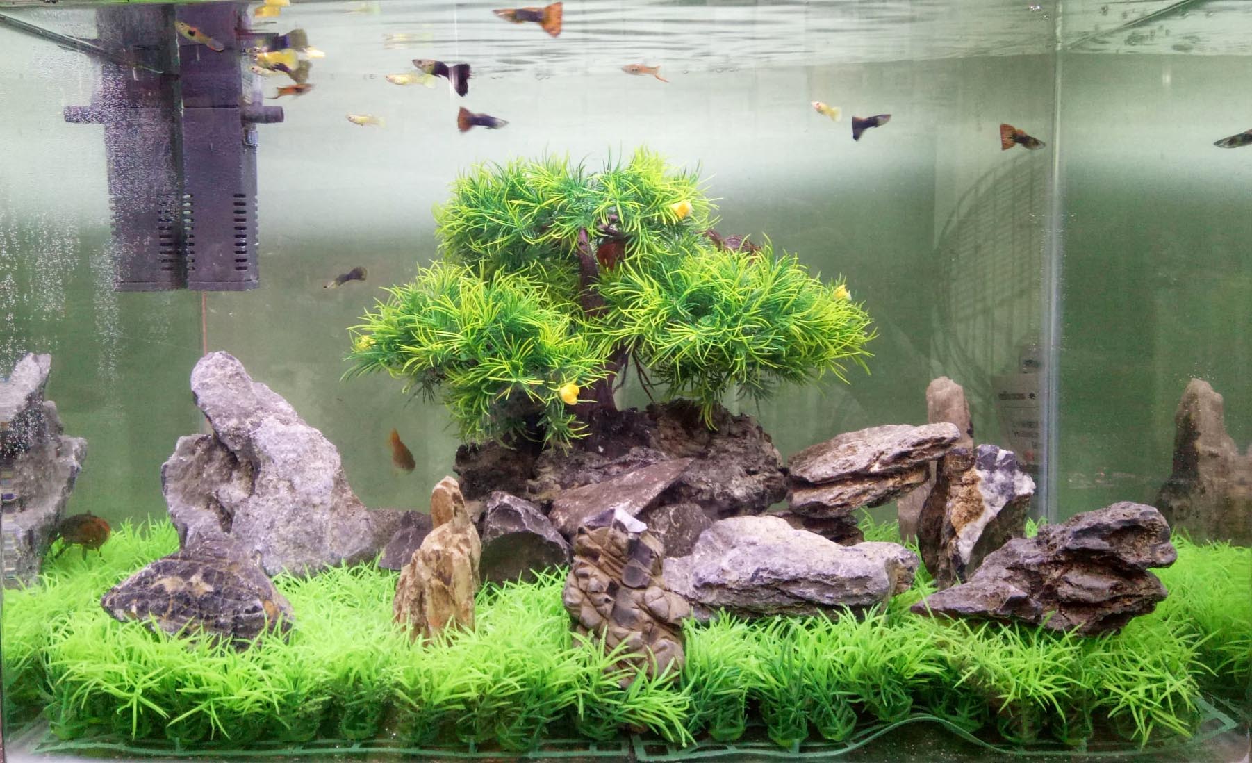 Rating of the best soils for aquariums in 2025