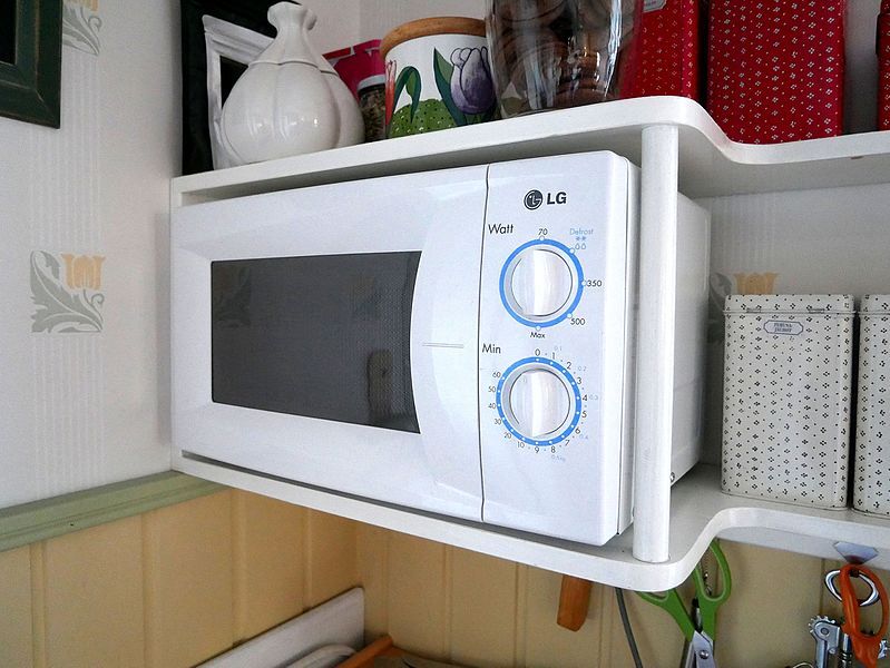 Rating of the best microwave ovens of 2025