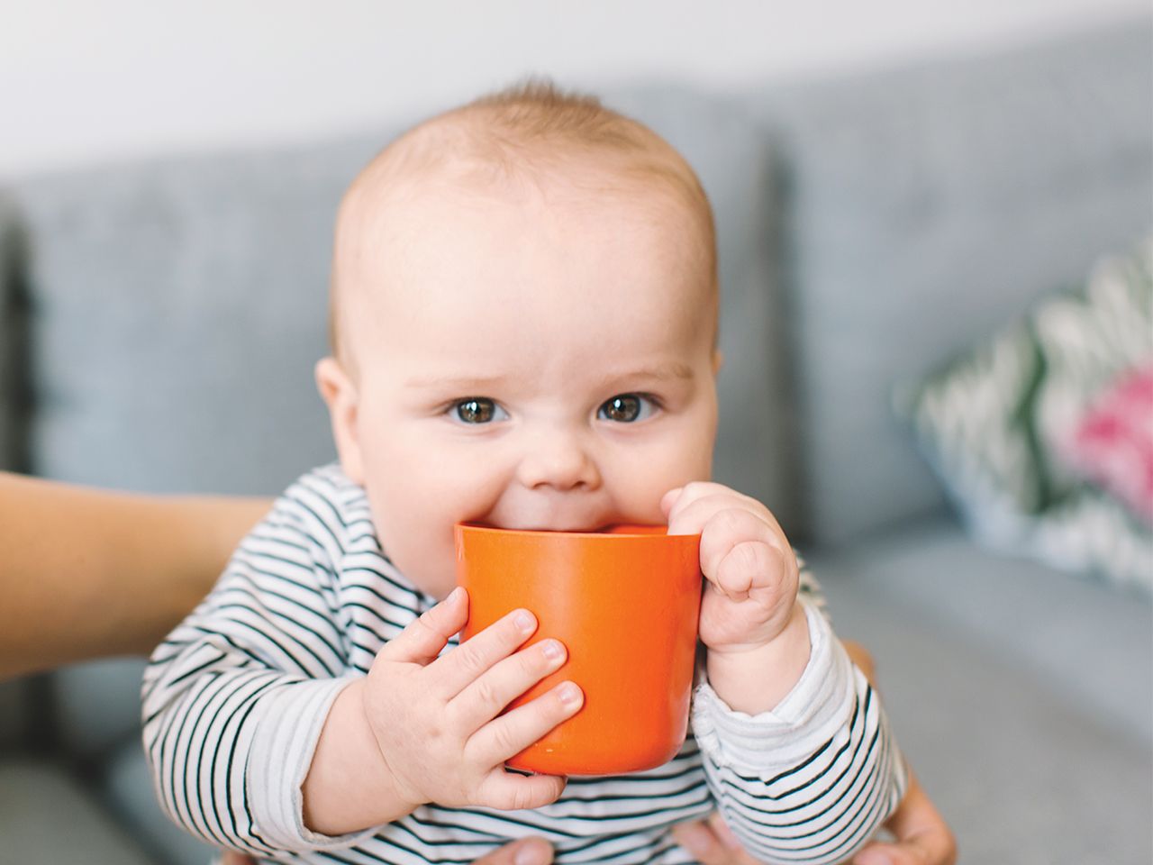 Review of the best sippy cups for babies in 2025 - advantages, disadvantages and price