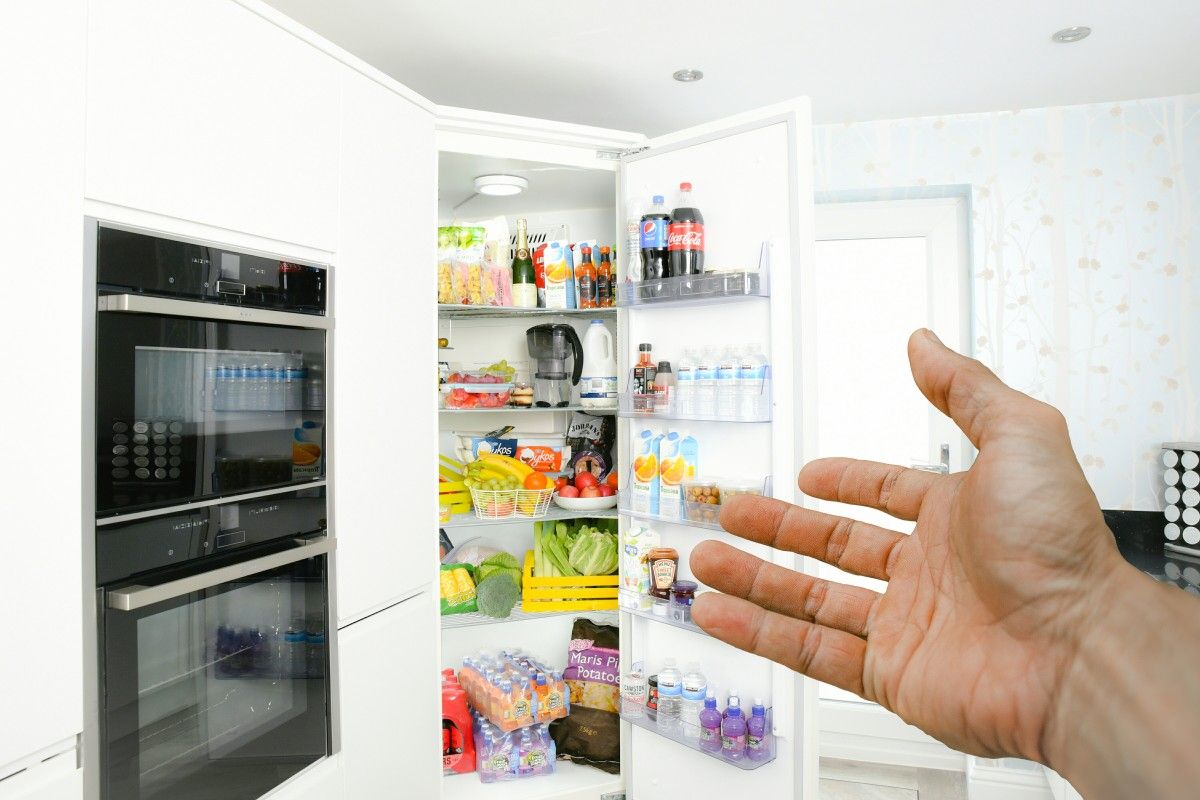 Rating of the best Bosch refrigerators in 2025