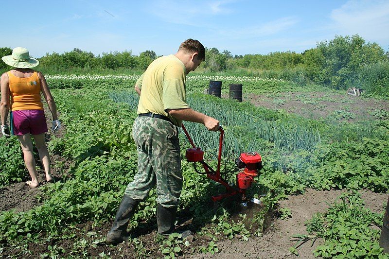 The best Caiman walk-behind tractors in 2025