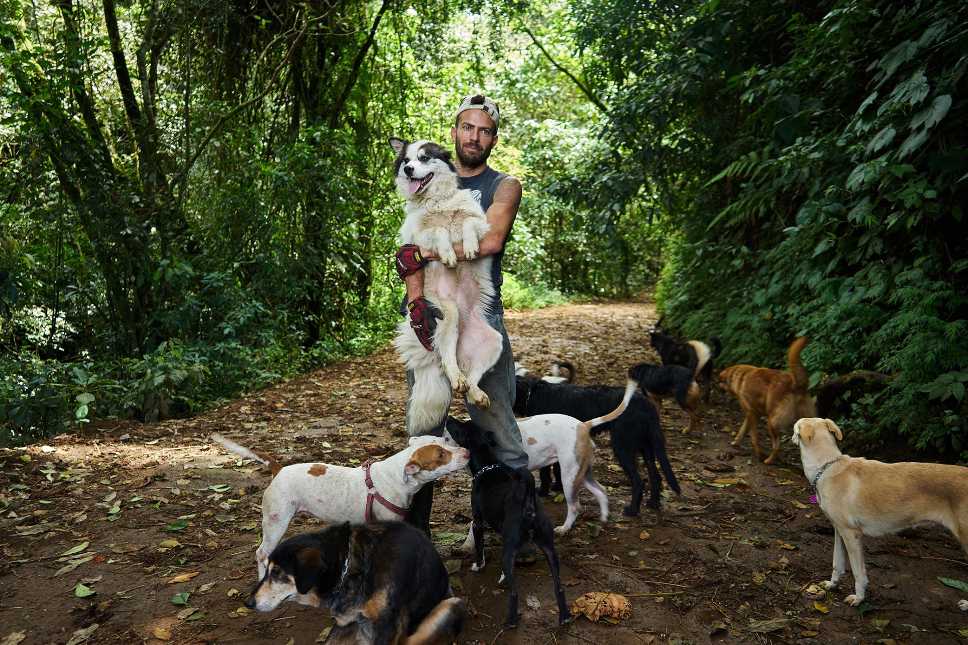 The best dog kennels in Moscow in 2025