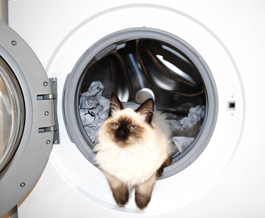 The best built-in washing machines for 2025