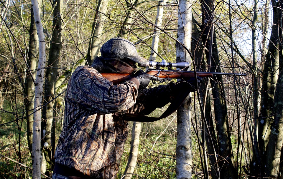 Rating of the best air rifles for hunting without a license for 2025