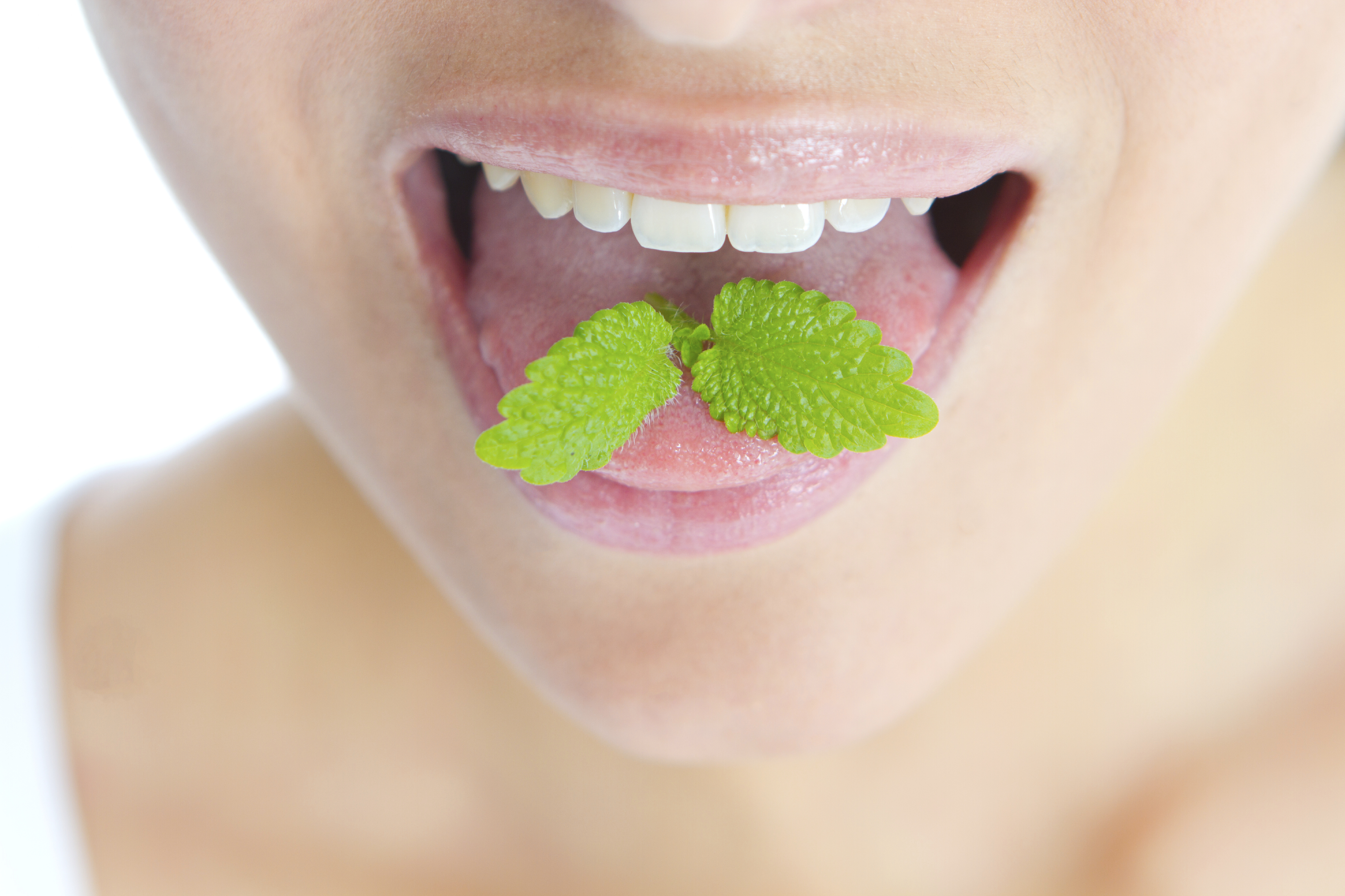 Ranking of the best breath fresheners for 2025