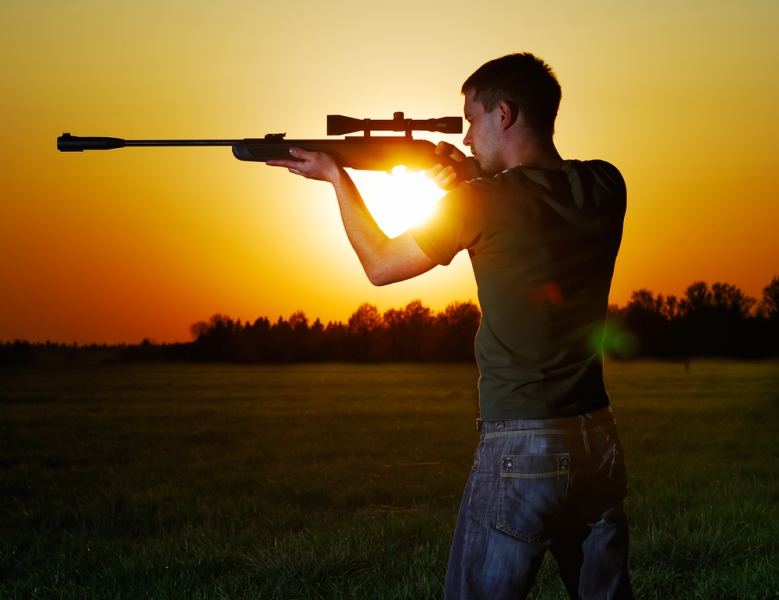 Rating of the best air rifles for recreational shooting in 2025