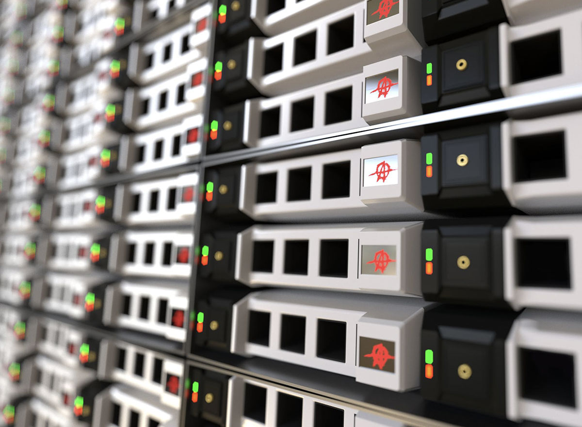 Rating of the best network servers for 2025