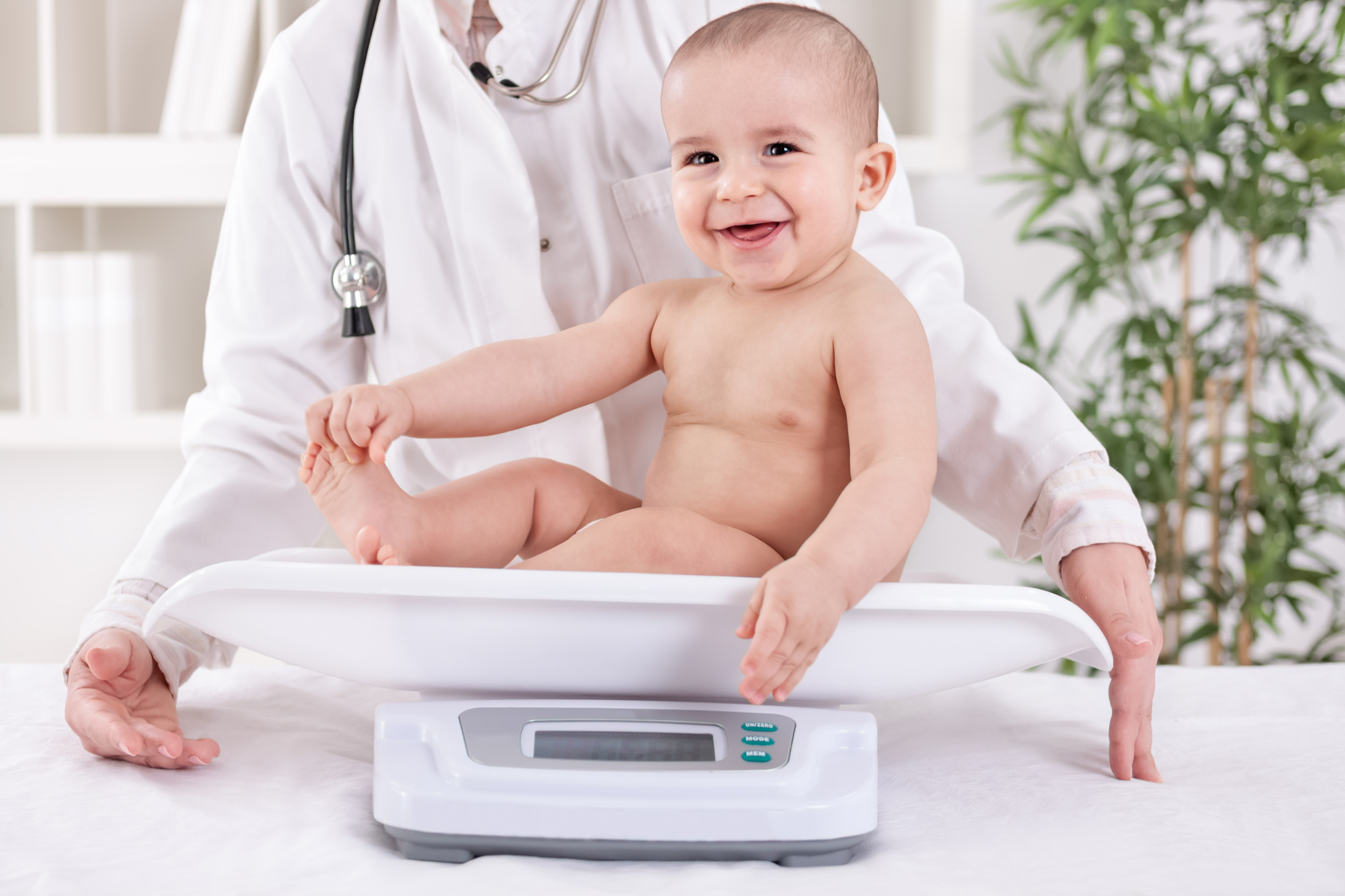 Rating of the best medical scales for 2025