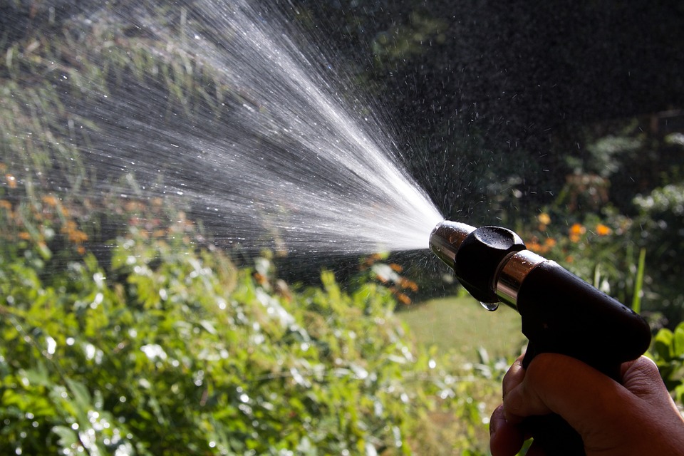 Classement des meilleures pompes à eau pour 2025