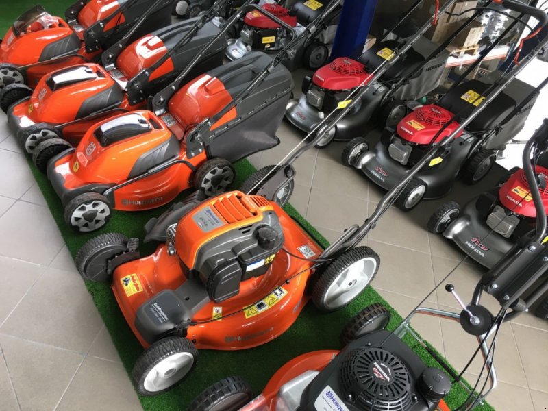 Ranking of the best petrol lawn mowers in 2025