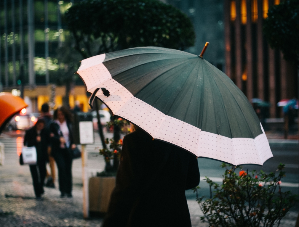 Rating of the best folding umbrellas for 2025