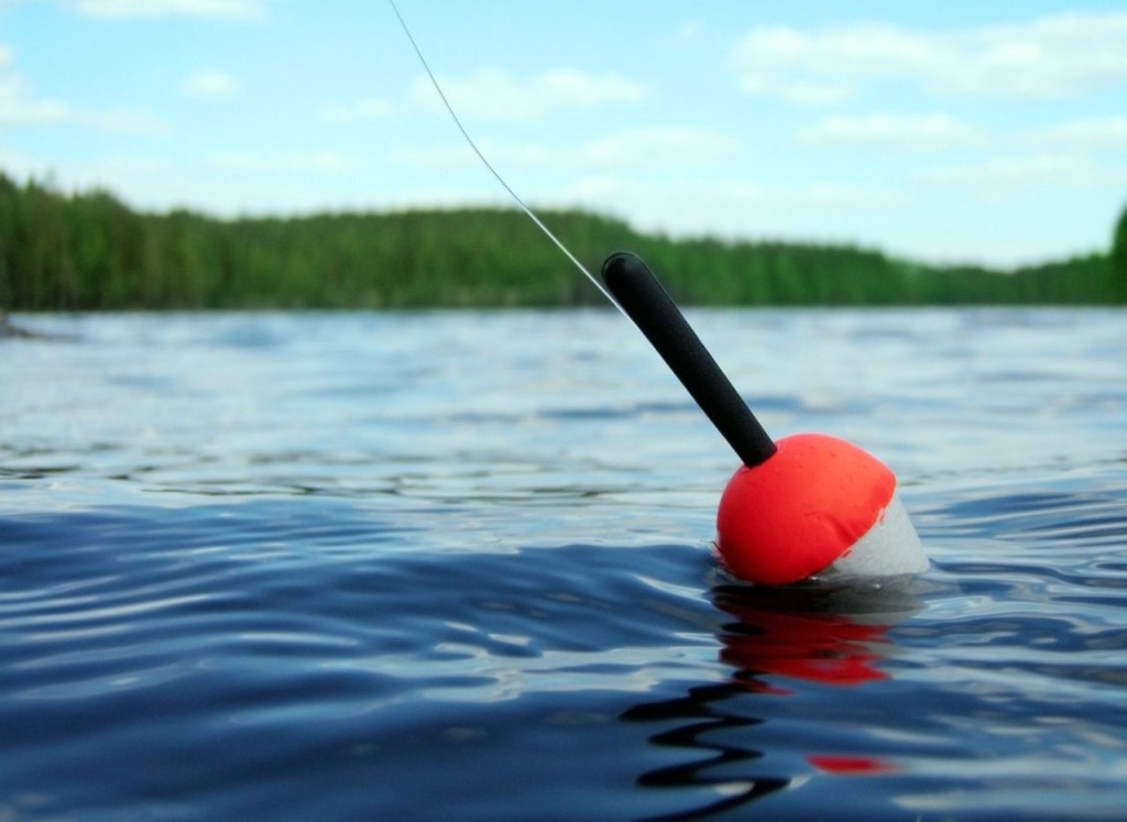 Rating of the best fishing floats for 2025