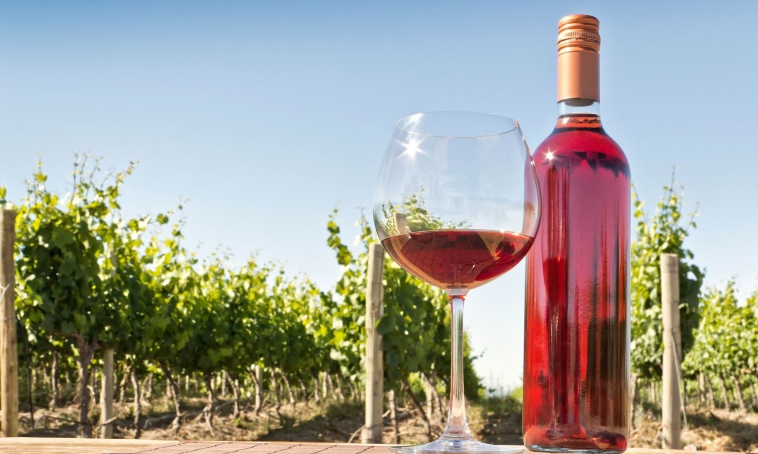 Rating of the best rosé wines for 2025