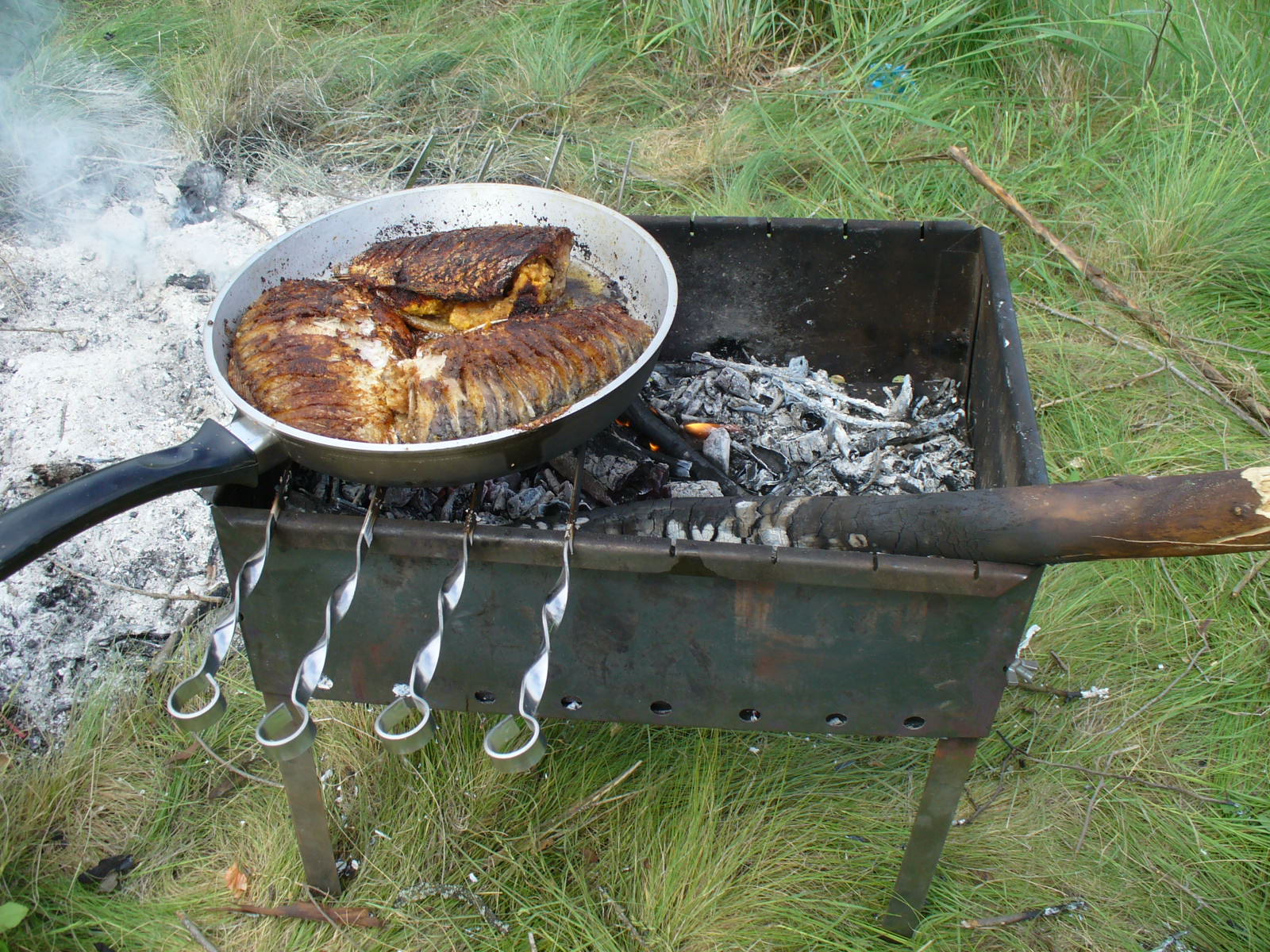 Classement des meilleurs barbecues pour chalets d'été et randonnées pour 2025