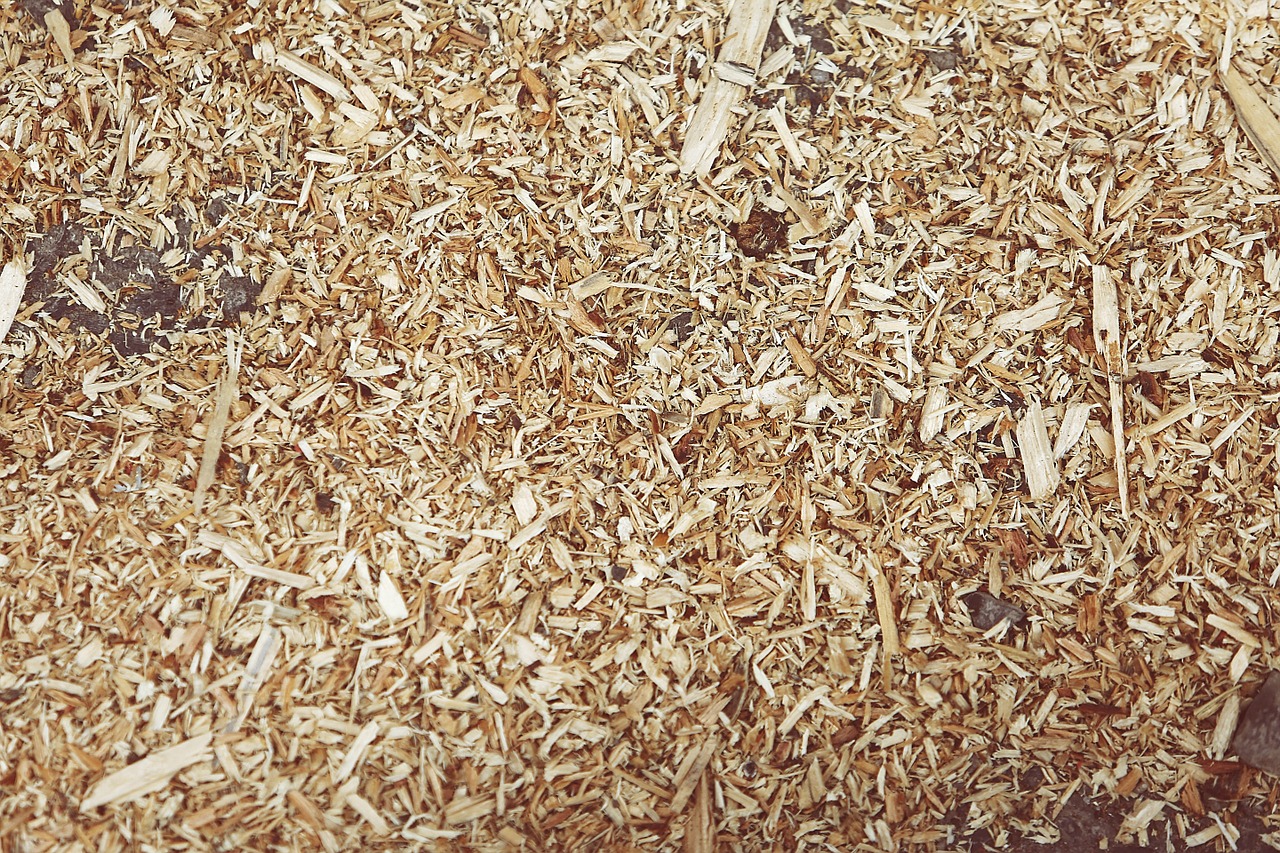 Rating of the best wood chips for 2025