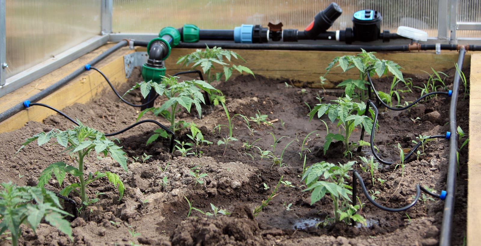 Rating of the best drip irrigation systems for 2025