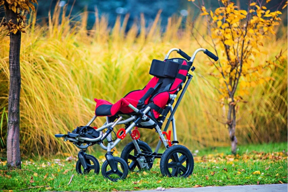 Rating of the best strollers for children with cerebral palsy for 2025