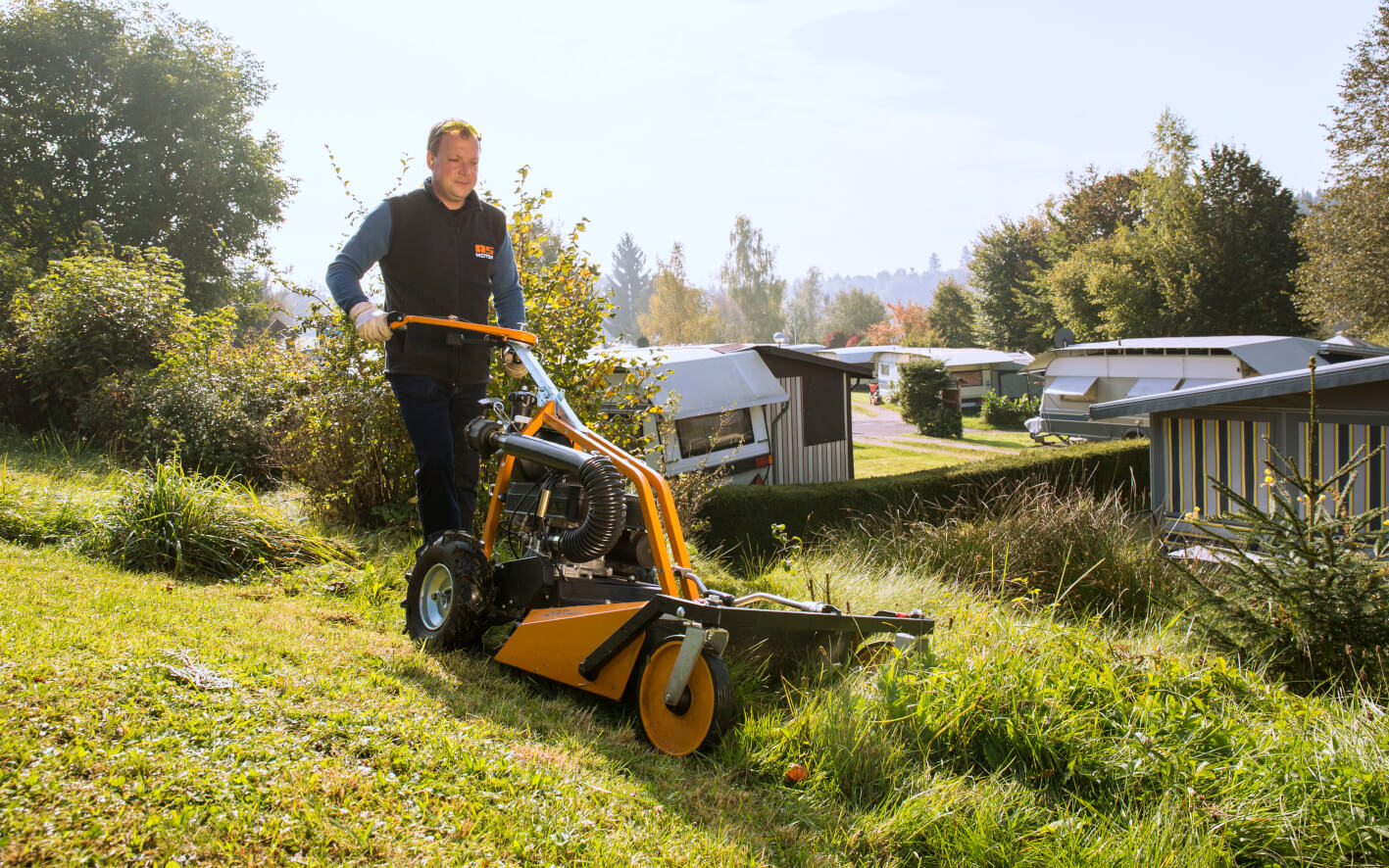 Rating of the best mowers for 2025