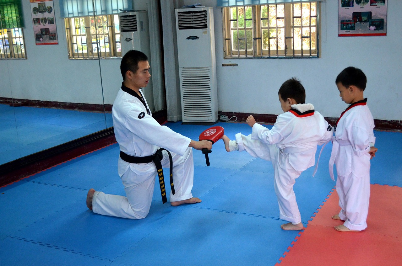 Rating of the best budo mats for 2025