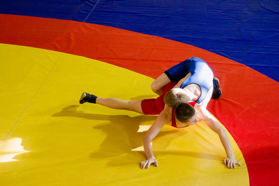 Rating of the best wrestling mats for 2025