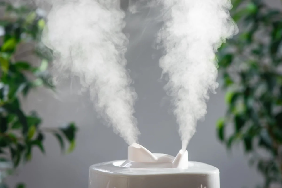 Les meilleurs humidificateurs pour la maison en 2025