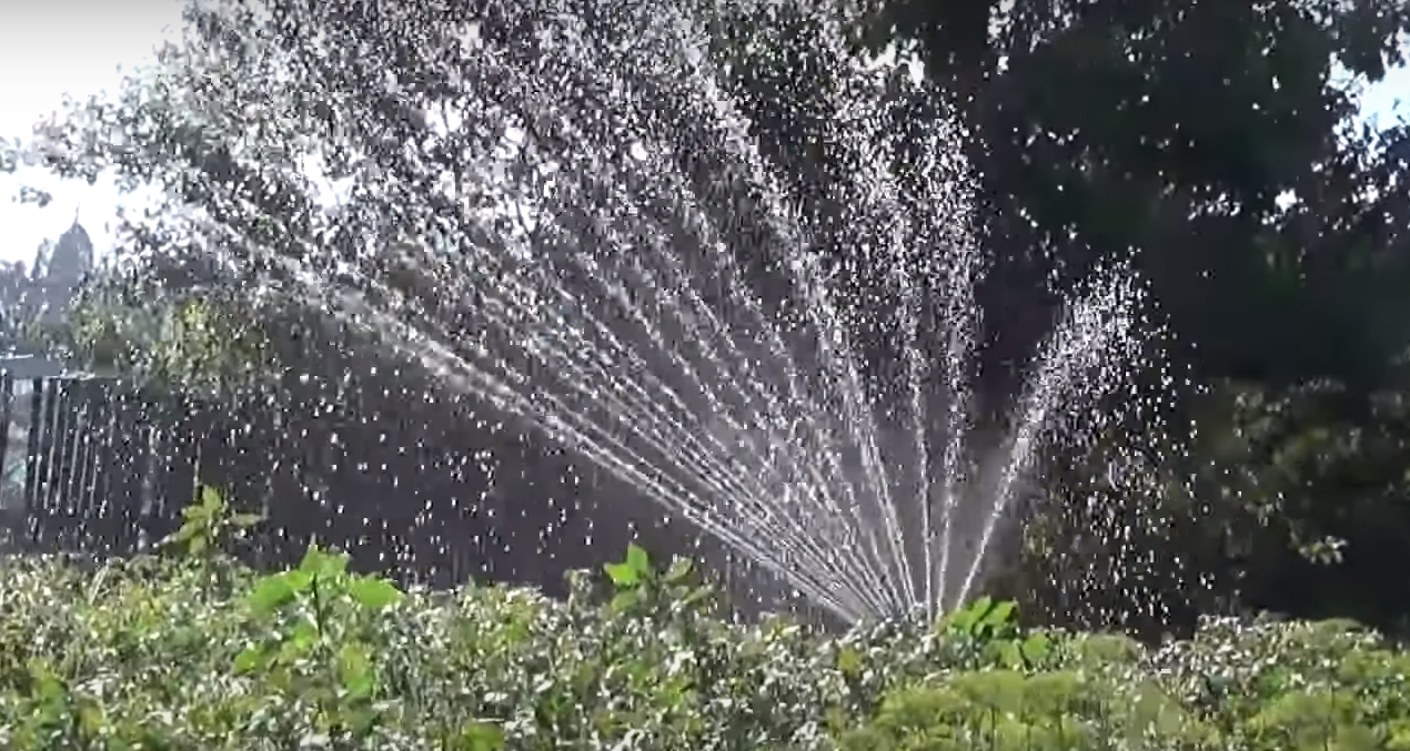 Rating of the best sprinklers for watering 2025