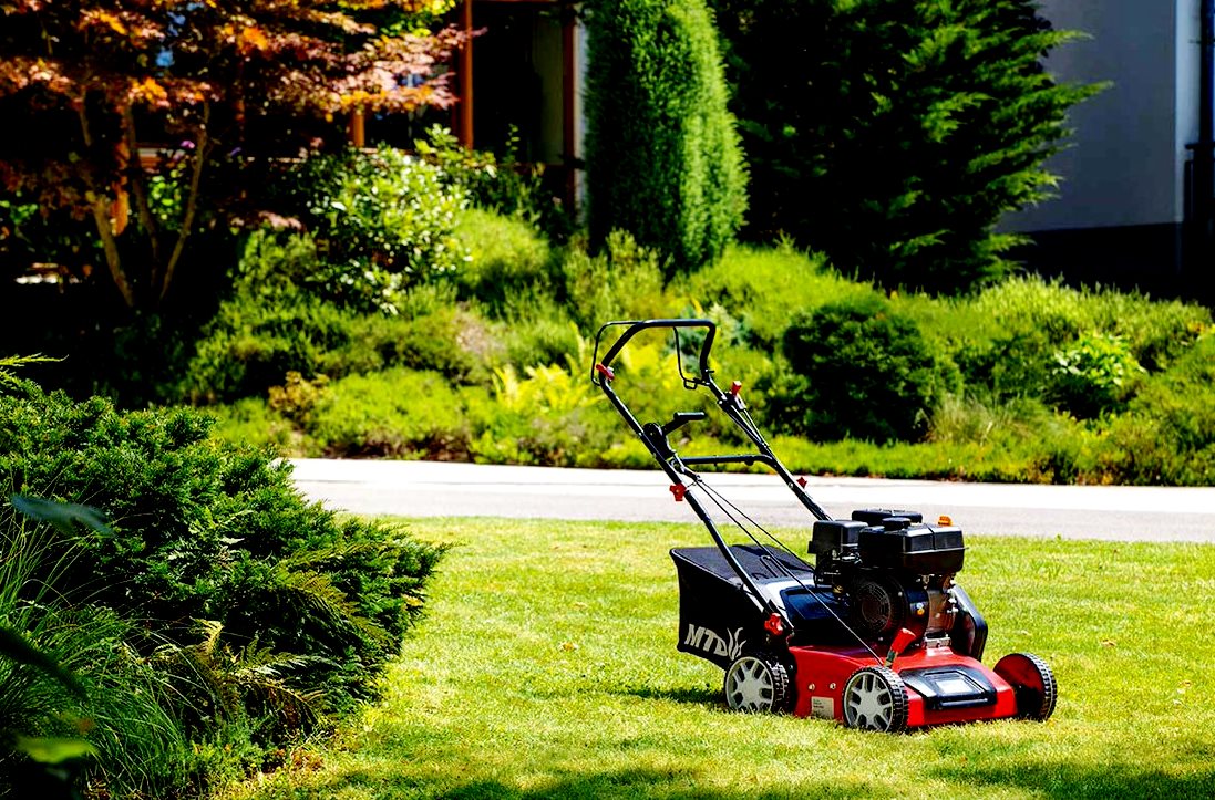 Ranking of the best lawn mower engines for 2025