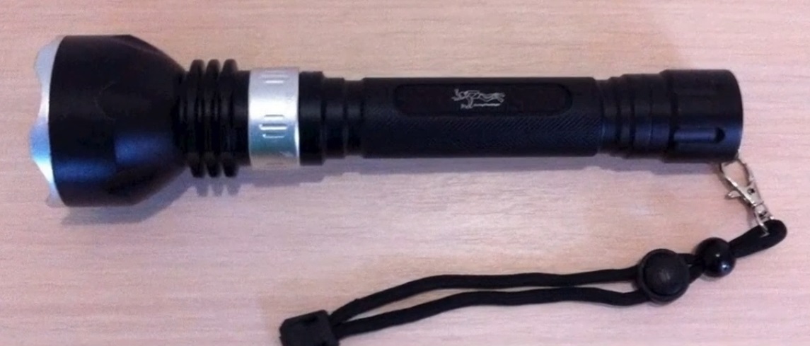 Rating of the best flashlights for spearfishing and diving for 2025