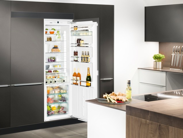 Rating of the best narrow refrigerators for the kitchen for 2025