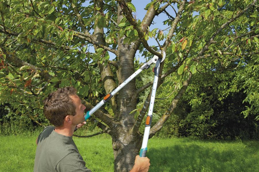 Rating of the best loppers for pruning trees for 2025