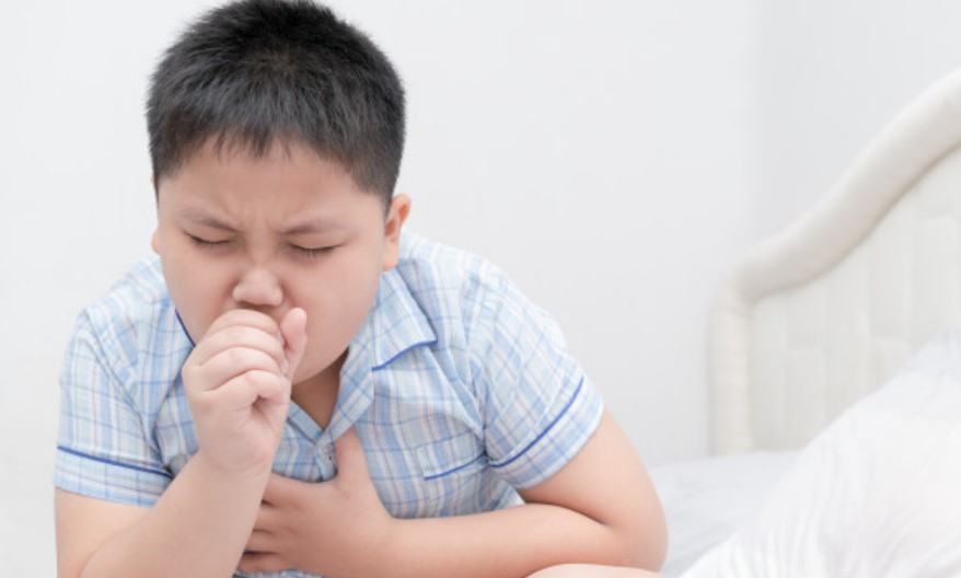 Rating of the best cough antibiotics for 2025