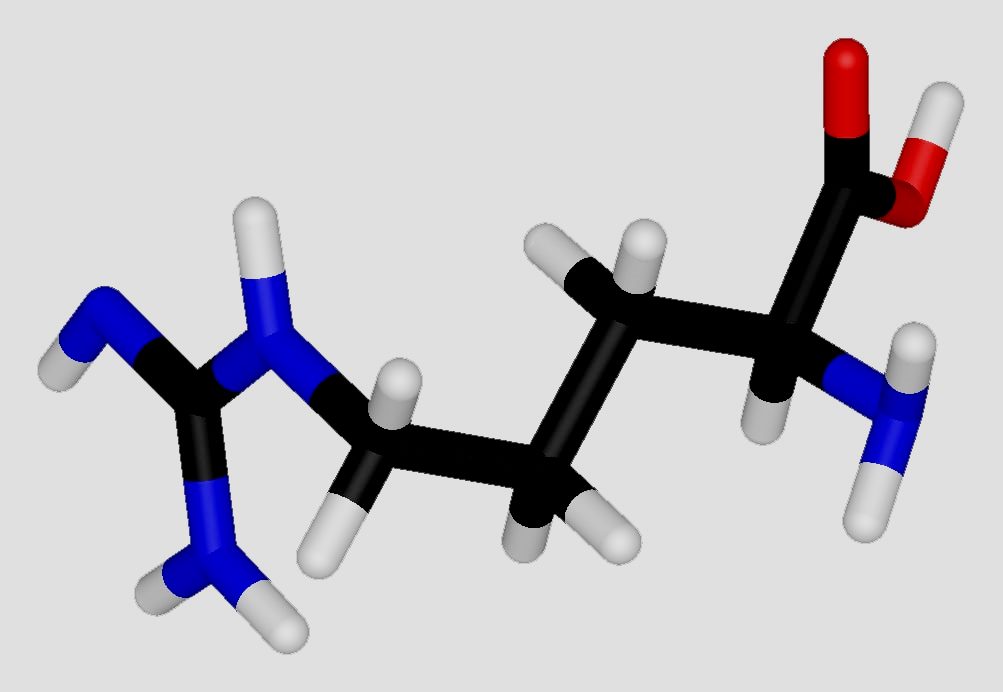 Best L-Arginine Supplement Ranking for 2025