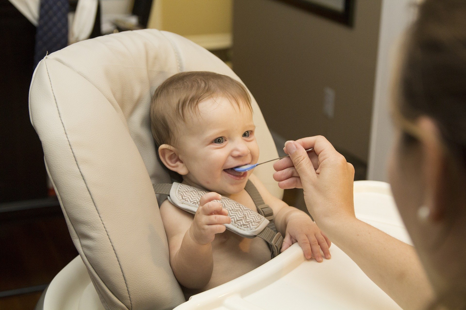 Ranking of the best high chairs for 2025