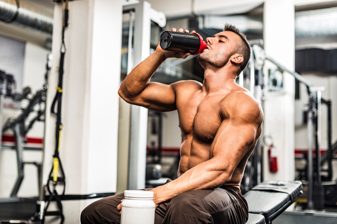 Rating of the best gainers for ectomorph for 2025