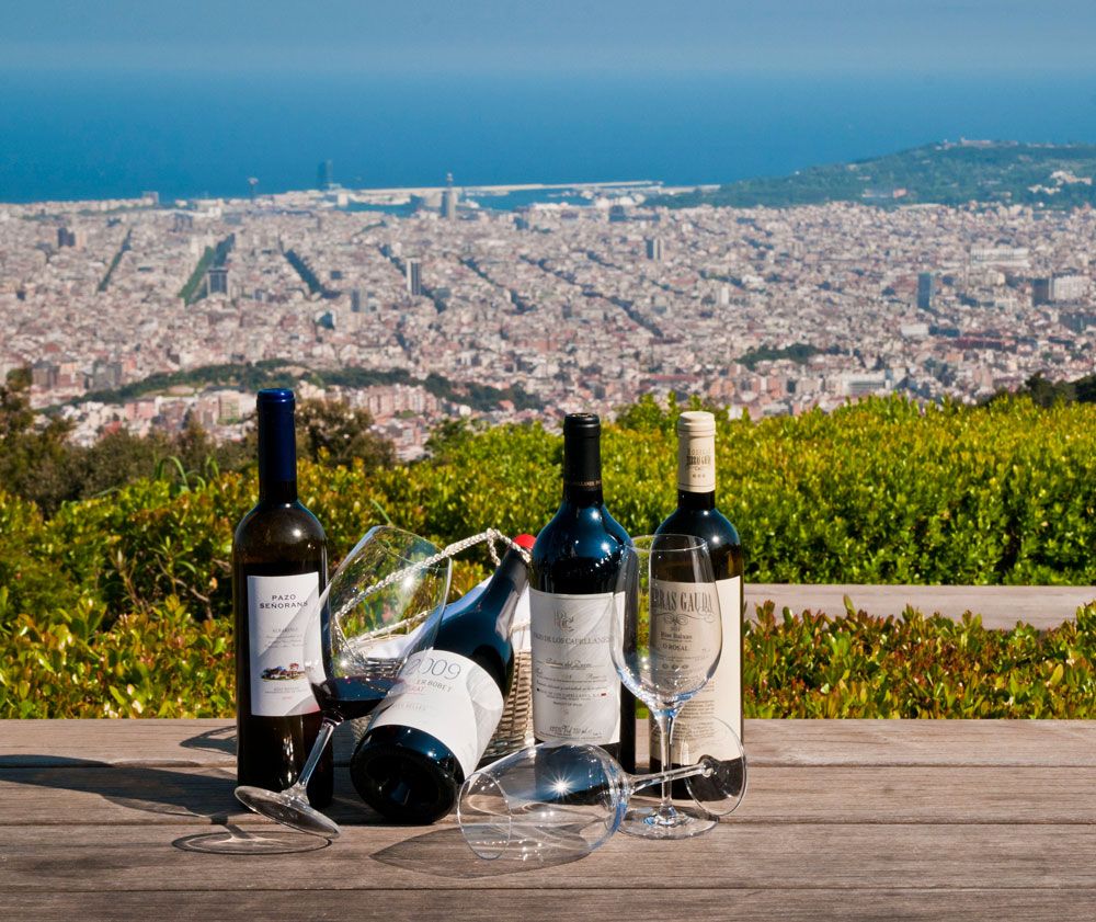 Classement des meilleurs vins espagnols pour 2025