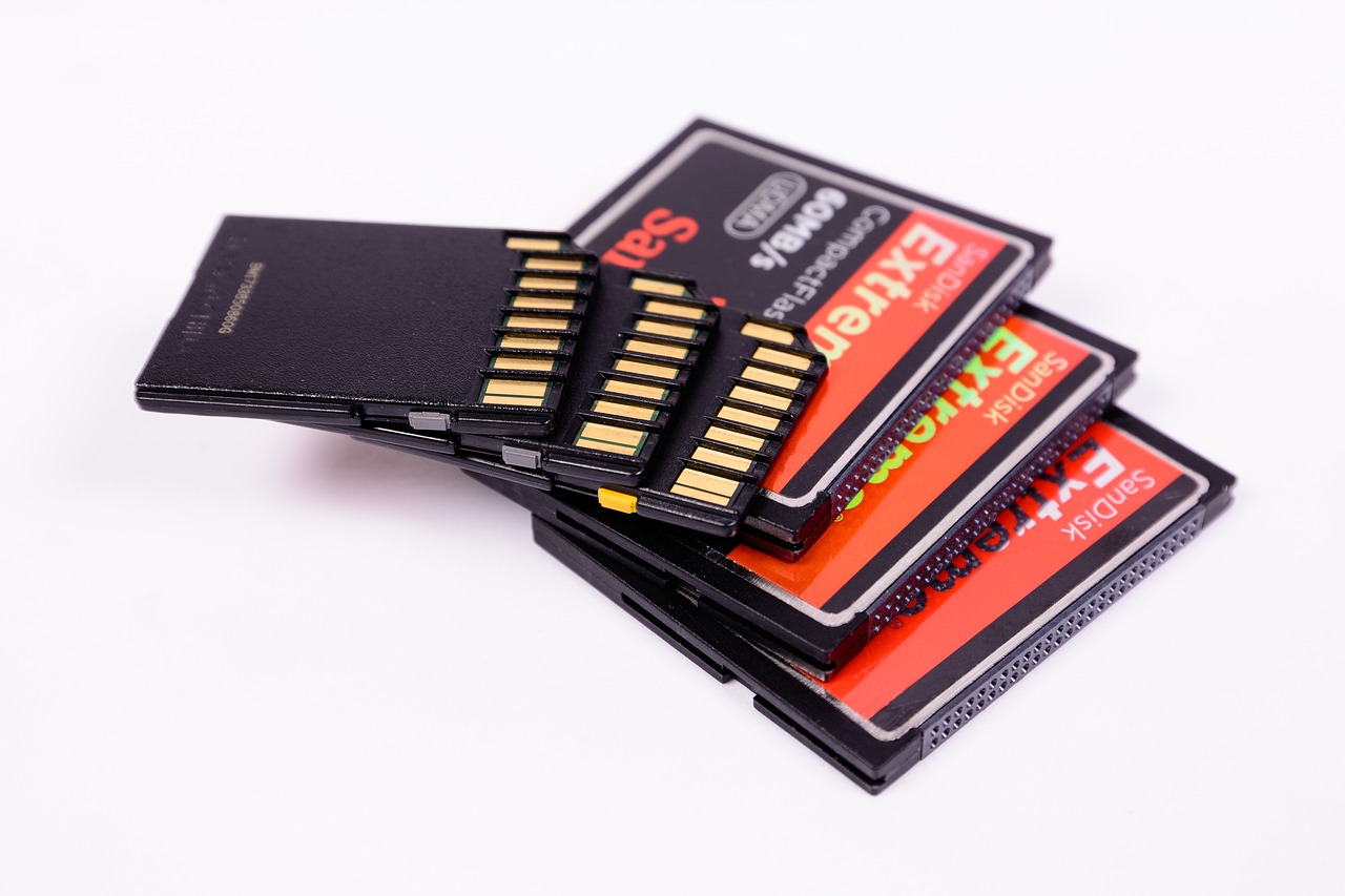 Rating of the best memory cards for the DVR for 2025