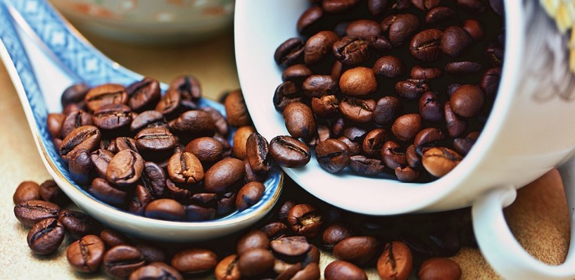 Rating of the best coffee roasters in Moscow for 2025