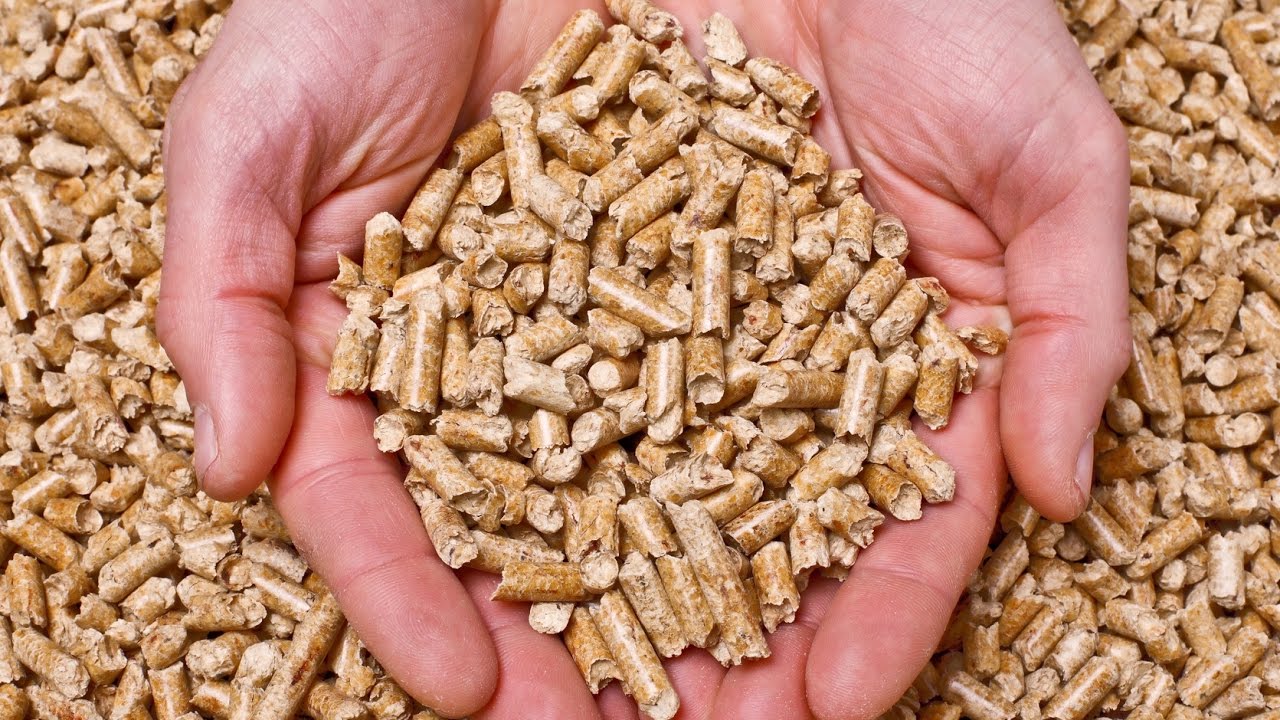 Rating of the best pellets for 2025