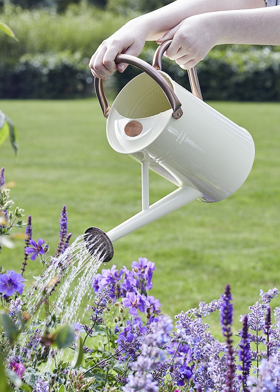 Rating of the best garden watering cans for 2025